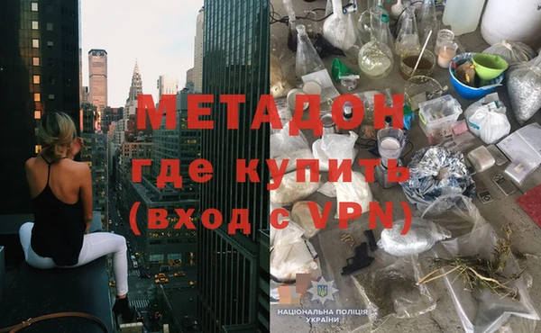 прущие грибы Дмитровск