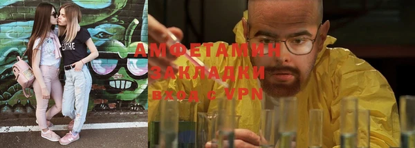 прущие грибы Дмитровск