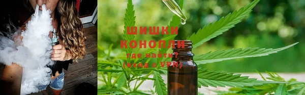 прущие грибы Дмитровск