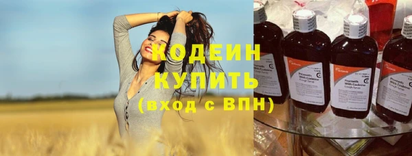 ешки Гусь-Хрустальный