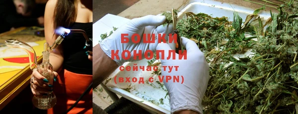 ешки Гусь-Хрустальный