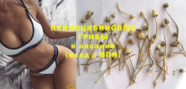 ешки Гусь-Хрустальный