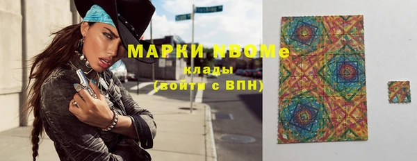 прущие грибы Дмитровск
